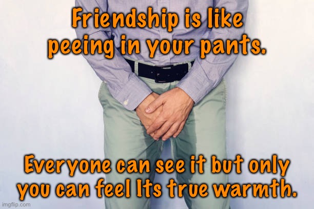 Friendship | Friendship is like peeing in your pants. Everyone can see it but only you can feel Its true warmth. | image tagged in friedship,peeing pants,all can see it,feel the warmth | made w/ Imgflip meme maker