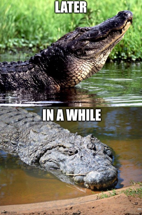 LATER; IN A WHILE | image tagged in alligator,crocodile | made w/ Imgflip meme maker