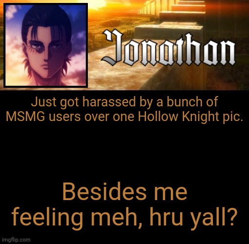 Jonathan's 6th Temp | Just got harassed by a bunch of MSMG users over one Hollow Knight pic. Besides me feeling meh, hru yall? | image tagged in jonathan's 6th temp | made w/ Imgflip meme maker