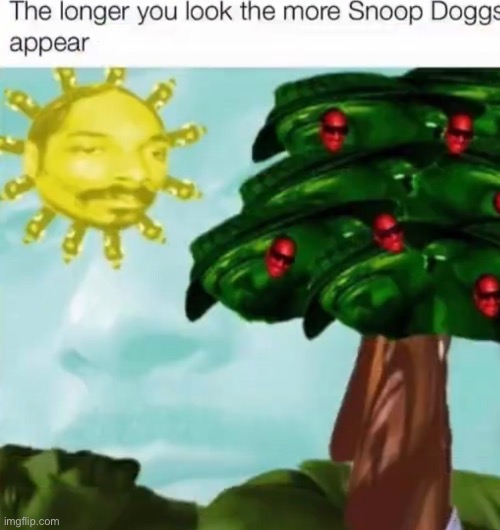 The longer you look the more Snoop Doggs appear | image tagged in snoop dogg,funny | made w/ Imgflip meme maker