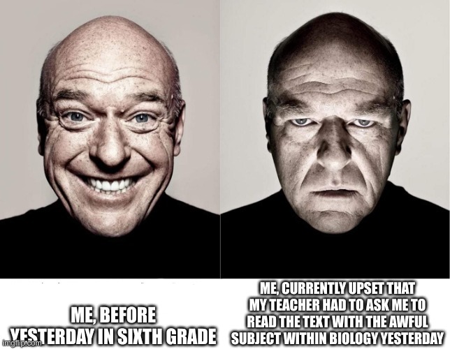 If you know, you know... :,T | ME, BEFORE YESTERDAY IN SIXTH GRADE; ME, CURRENTLY UPSET THAT MY TEACHER HAD TO ASK ME TO READ THE TEXT WITH THE AWFUL SUBJECT WITHIN BIOLOGY YESTERDAY | image tagged in breaking bad smile frown | made w/ Imgflip meme maker