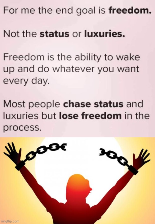 Freedom vs slavery | image tagged in freedom | made w/ Imgflip meme maker