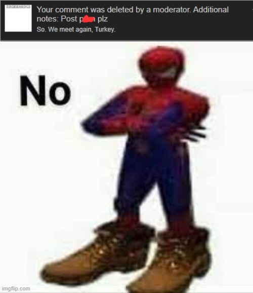 WTF Turkey... | image tagged in no spiderman | made w/ Imgflip meme maker