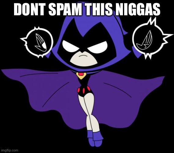 Teen Titans GO! Raven | DONT SPAM THIS NIGGAS | image tagged in teen titans go raven | made w/ Imgflip meme maker