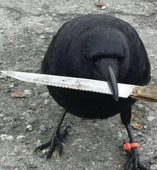 Raven with knife | image tagged in raven with knife | made w/ Imgflip meme maker