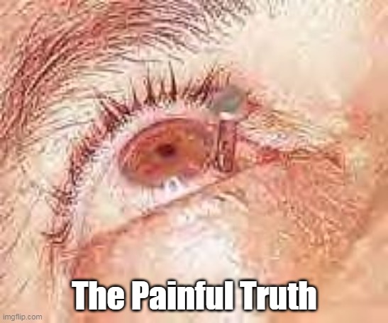 The Painful Truth | made w/ Imgflip meme maker
