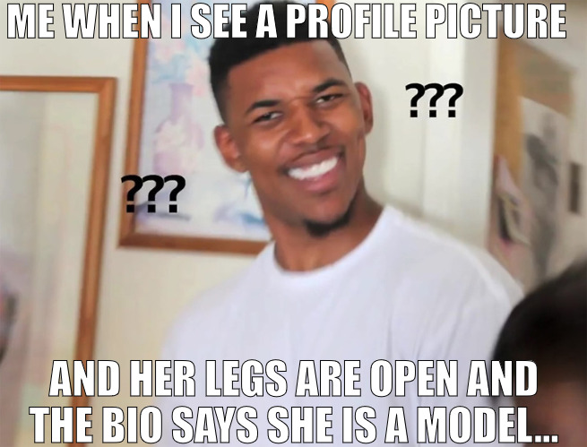 NOW HOLD UP SOMEBODY LYING | ME WHEN I SEE A PROFILE PICTURE; AND HER LEGS ARE OPEN AND THE BIO SAYS SHE IS A MODEL... | image tagged in snitched on nick young lol,meme | made w/ Imgflip meme maker