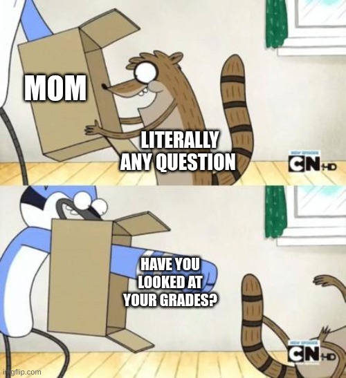 Mordecai Punches Rigby Through a Box | MOM; LITERALLY ANY QUESTION; HAVE YOU LOOKED AT YOUR GRADES? | image tagged in mordecai punches rigby through a box | made w/ Imgflip meme maker