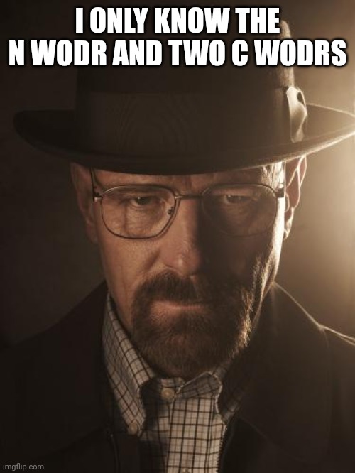 Walter White | I ONLY KNOW THE N WODR AND TWO C WODRS | image tagged in walter white | made w/ Imgflip meme maker