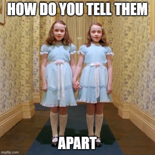 Twins from The Shining | HOW DO YOU TELL THEM APART | image tagged in twins from the shining | made w/ Imgflip meme maker