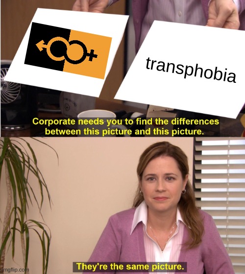 They're The Same Picture Meme | transphobia | image tagged in memes,they're the same picture | made w/ Imgflip meme maker