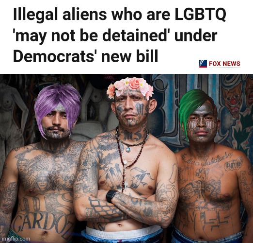 What a stupid bill. | image tagged in ms-13 | made w/ Imgflip meme maker