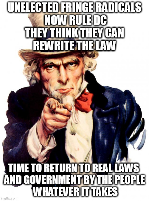 We outnumber the radicals 100K to 1. | UNELECTED FRINGE RADICALS
 NOW RULE DC
 THEY THINK THEY CAN 
REWRITE THE LAW; TIME TO RETURN TO REAL LAWS 
AND GOVERNMENT BY THE PEOPLE
 WHATEVER IT TAKES | image tagged in memes,uncle sam | made w/ Imgflip meme maker