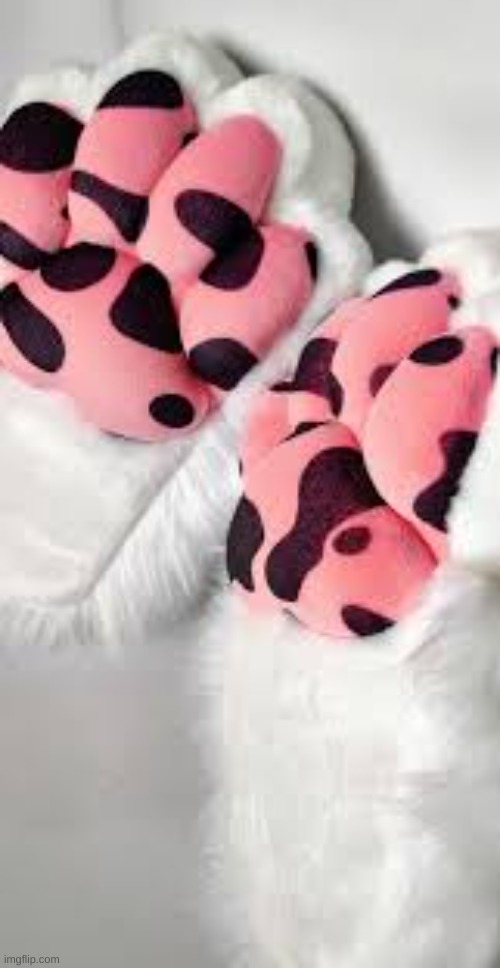 (Paws made by drowsyseal) MOCHI PAWS ARE SO FKING CUTE | image tagged in ha ha tags go brr | made w/ Imgflip meme maker