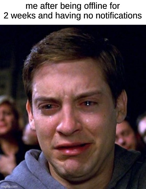 no notifications? | me after being offline for 2 weeks and having no notifications | image tagged in crying peter parker,memes,fun,sad | made w/ Imgflip meme maker
