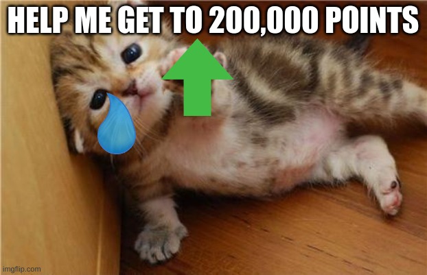 pls help me | HELP ME GET TO 200,000 POINTS | image tagged in help me kitten,cats,memes,begging for upvotes,fun,upvotes | made w/ Imgflip meme maker