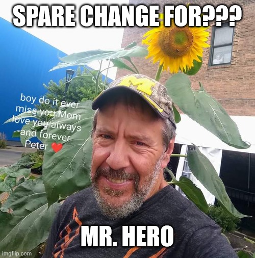 Spare Change For? | SPARE CHANGE FOR??? MR. HERO | image tagged in peter plant,mrbeast,sandwich,funny,memes | made w/ Imgflip meme maker