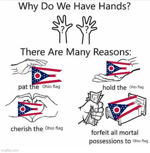 Ohio flag | Ohio flag; Ohio flag; Ohio flag; Ohio flag | image tagged in why do we have hands all blank,ohio flag,ohio,memes,funny | made w/ Imgflip meme maker