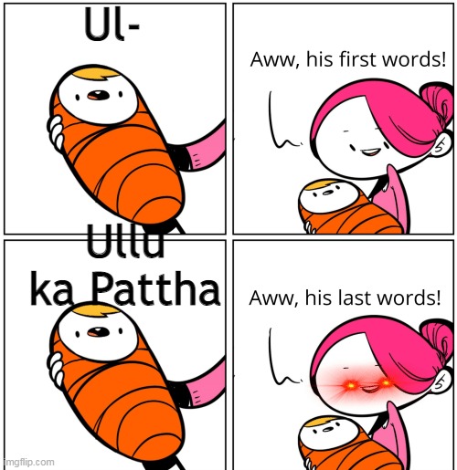 He says 'Son of a b****' in Hindi | Ul-; Ullu ka Pattha | image tagged in aww his last words | made w/ Imgflip meme maker