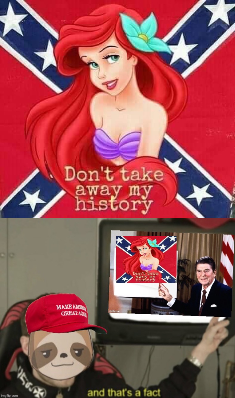image tagged in confederate ariel,maga sloth conservative party and that s a fact | made w/ Imgflip meme maker