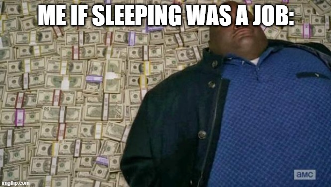 huell money | ME IF SLEEPING WAS A JOB: | image tagged in huell money | made w/ Imgflip meme maker