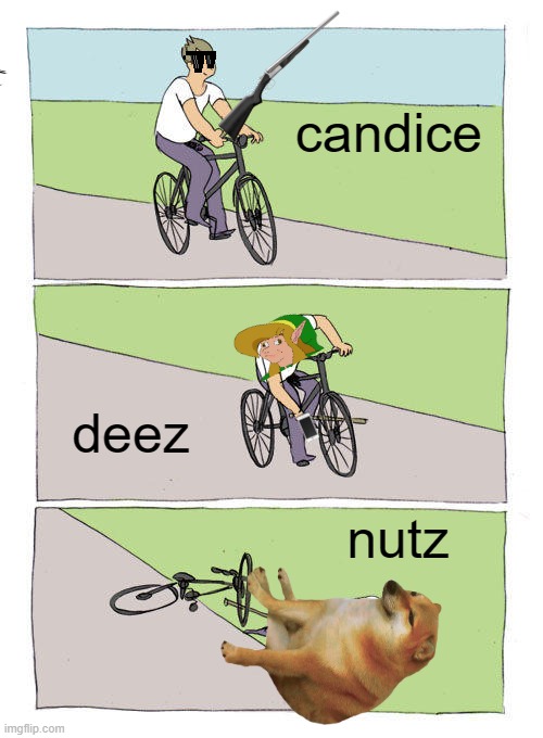 Bike Fall | candice; deez; nutz | image tagged in memes,bike fall | made w/ Imgflip meme maker