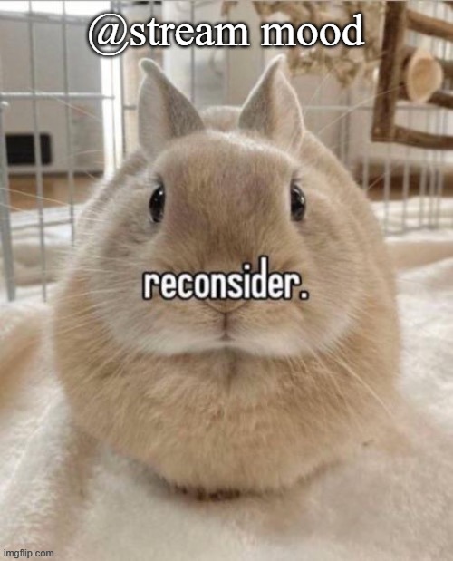 reconsider | @stream mood | image tagged in reconsider | made w/ Imgflip meme maker