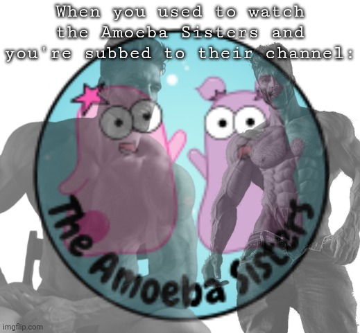 They are the best way to learn biology | When you used to watch the Amoeba Sisters and you're subbed to their channel: | made w/ Imgflip meme maker