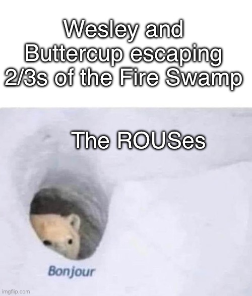 Rouses be like | Wesley and Buttercup escaping 2/3s of the Fire Swamp; The ROUSes | image tagged in bonjour,princess bride,the princess bride | made w/ Imgflip meme maker