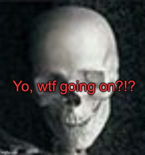 . | Yo, wtf going on?!? | image tagged in skull | made w/ Imgflip meme maker