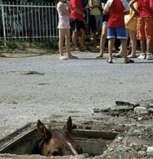 Mildésmallington horse | made w/ Imgflip meme maker