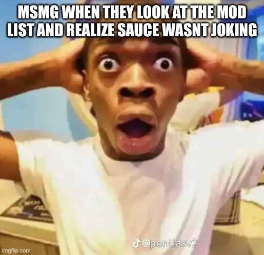 Shocked black guy | MSMG WHEN THEY LOOK AT THE MOD LIST AND REALIZE SAUCE WASNT JOKING | image tagged in shocked black guy | made w/ Imgflip meme maker