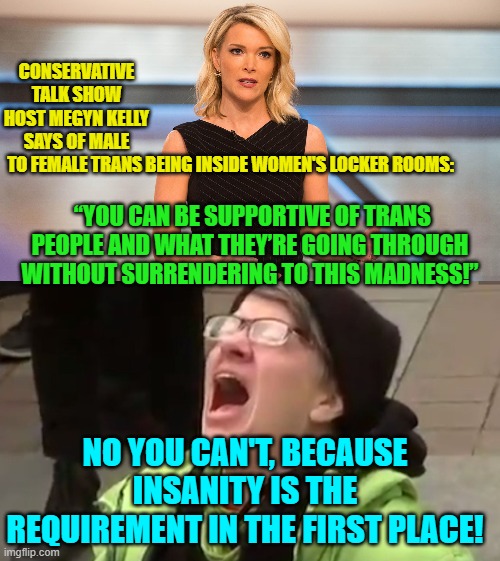 That says it all, really. | CONSERVATIVE TALK SHOW HOST MEGYN KELLY SAYS OF MALE TO FEMALE TRANS; BEING INSIDE WOMEN'S LOCKER ROOMS:; “YOU CAN BE SUPPORTIVE OF TRANS PEOPLE AND WHAT THEY’RE GOING THROUGH WITHOUT SURRENDERING TO THIS MADNESS!”; NO YOU CAN'T, BECAUSE INSANITY IS THE REQUIREMENT IN THE FIRST PLACE! | image tagged in truth | made w/ Imgflip meme maker