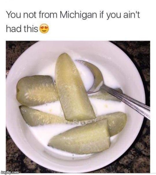 I'm never going to Michigan in my life | made w/ Imgflip meme maker