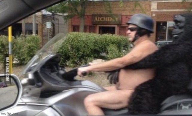 Mildésmallington rider | made w/ Imgflip meme maker