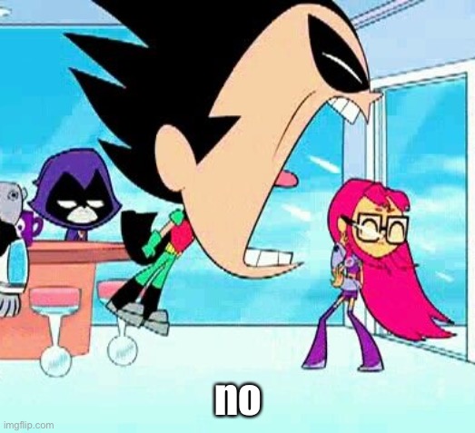 robin yelling at starfire | no | image tagged in robin yelling at starfire | made w/ Imgflip meme maker