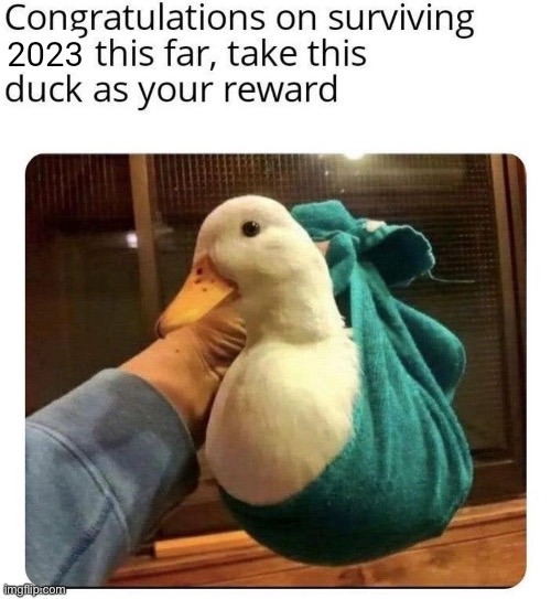 2023 | made w/ Imgflip meme maker