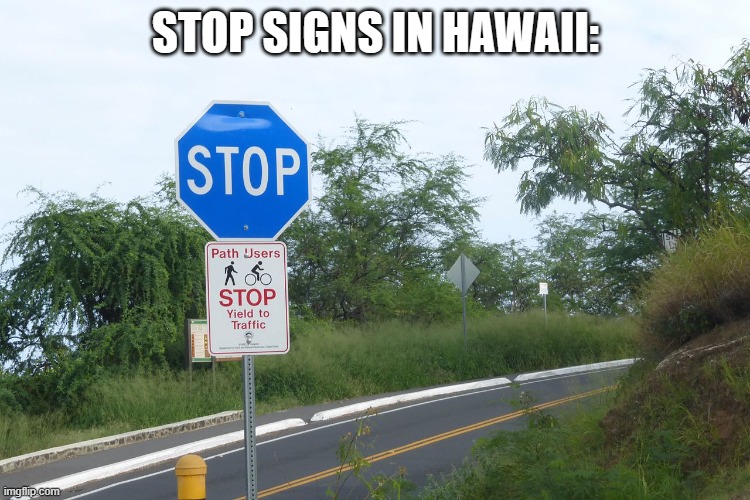 Only in Hawaii | STOP SIGNS IN HAWAII: | image tagged in blue stop sign in hawaii,stop sign,hawaii,only in hawaii | made w/ Imgflip meme maker