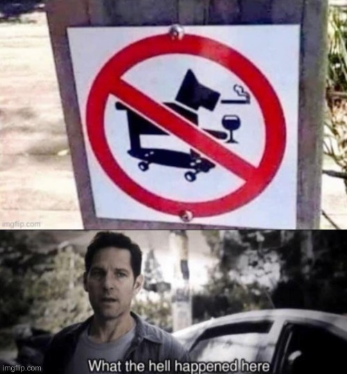 image tagged in what the hell happened here,memes,dogs,skateboard,cigarette,funny memes | made w/ Imgflip meme maker