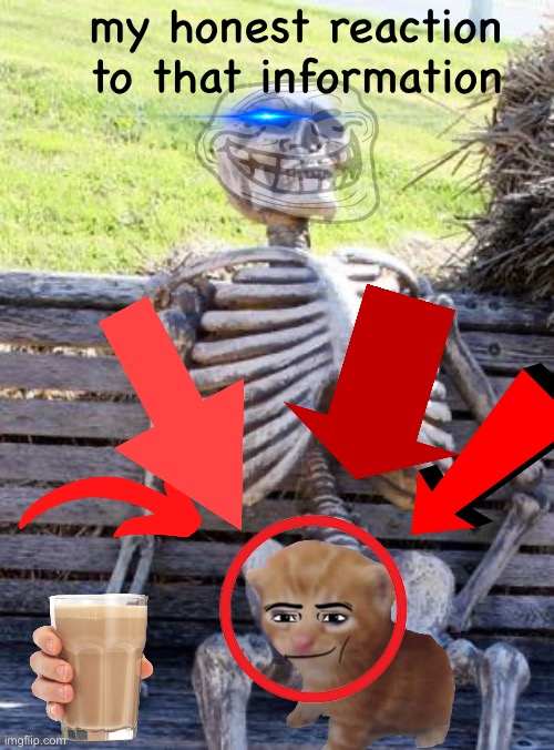 Waiting Skeleton Meme | my honest reaction to that information | image tagged in memes,waiting skeleton | made w/ Imgflip meme maker