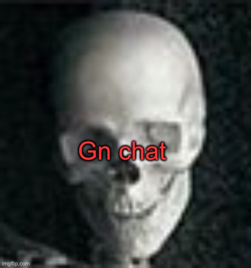 Logan wishes you a good night’s rest. | Gn chat | image tagged in skull | made w/ Imgflip meme maker
