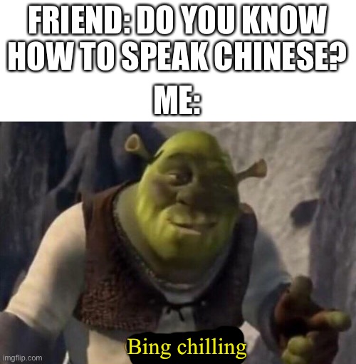 The best chinese speaker | FRIEND: DO YOU KNOW HOW TO SPEAK CHINESE? ME:; Bing chilling | image tagged in shrek good question,memes,chinese,funny | made w/ Imgflip meme maker