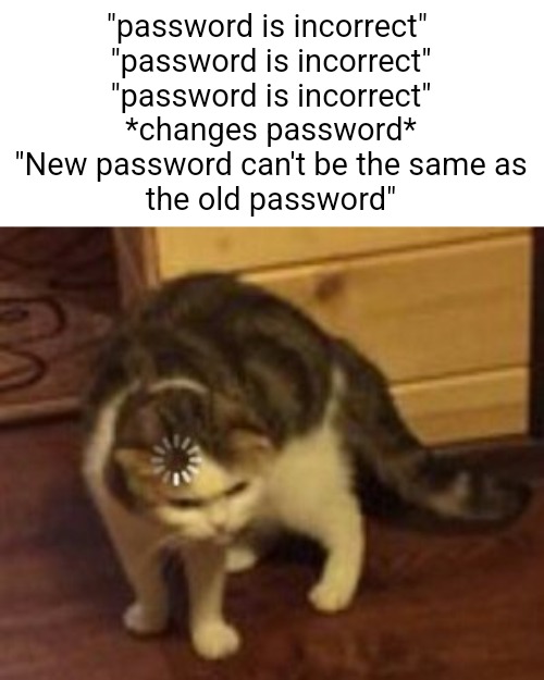 Loading cat | "password is incorrect" 
"password is incorrect"

"password is incorrect"

*changes password*

"New password can't be the same as
the old password" | image tagged in loading cat | made w/ Imgflip meme maker