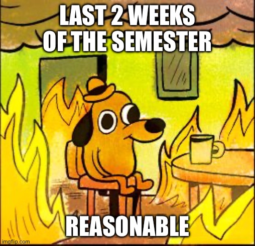 This is fine | LAST 2 WEEKS OF THE SEMESTER; REASONABLE | image tagged in this is fine | made w/ Imgflip meme maker