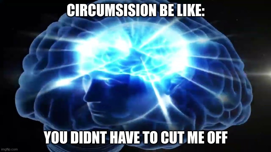 you didnt have to cut me off (literally) | CIRCUMSISION BE LIKE:; YOU DIDNT HAVE TO CUT ME OFF | image tagged in but you didn't have to cut me off | made w/ Imgflip meme maker