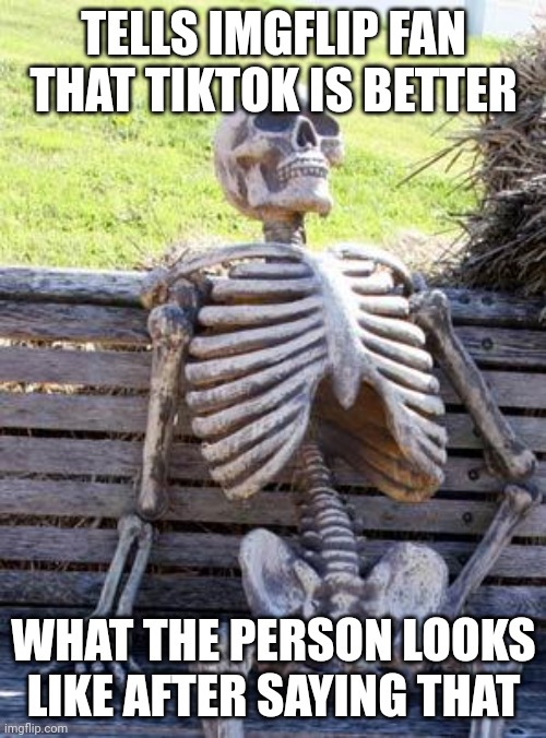 Tiktokers we are watching | TELLS IMGFLIP FAN THAT TIKTOK IS BETTER; WHAT THE PERSON LOOKS LIKE AFTER SAYING THAT | image tagged in memes,waiting skeleton | made w/ Imgflip meme maker