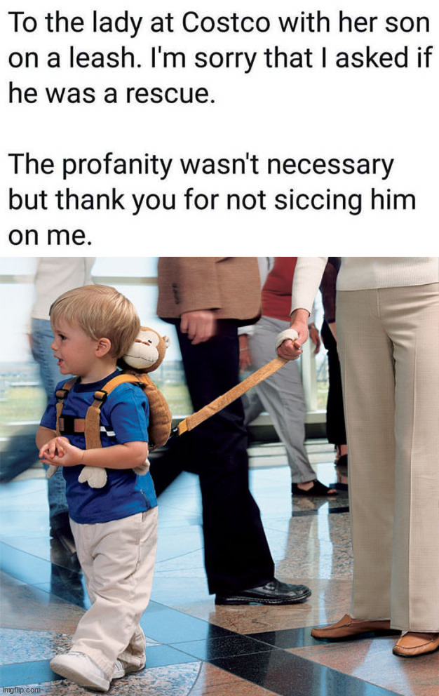 image tagged in kid on a leash | made w/ Imgflip meme maker