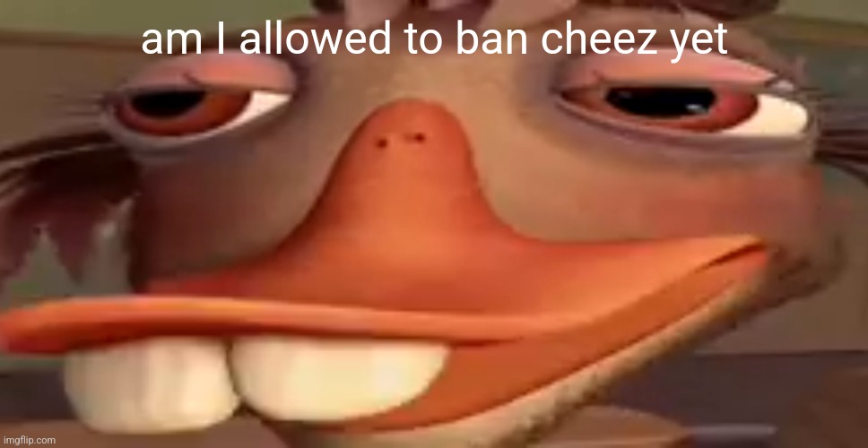 let's see, slurs, harassment, misuse of the flagging tool | am I allowed to ban cheez yet | image tagged in my honest reaction | made w/ Imgflip meme maker