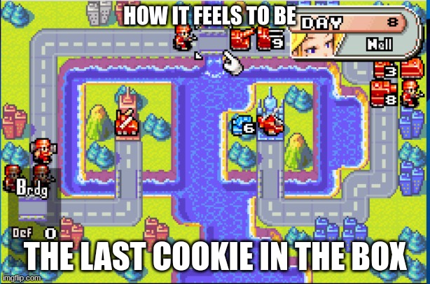 Run. | HOW IT FEELS TO BE; THE LAST COOKIE IN THE BOX | image tagged in the last x in the y | made w/ Imgflip meme maker