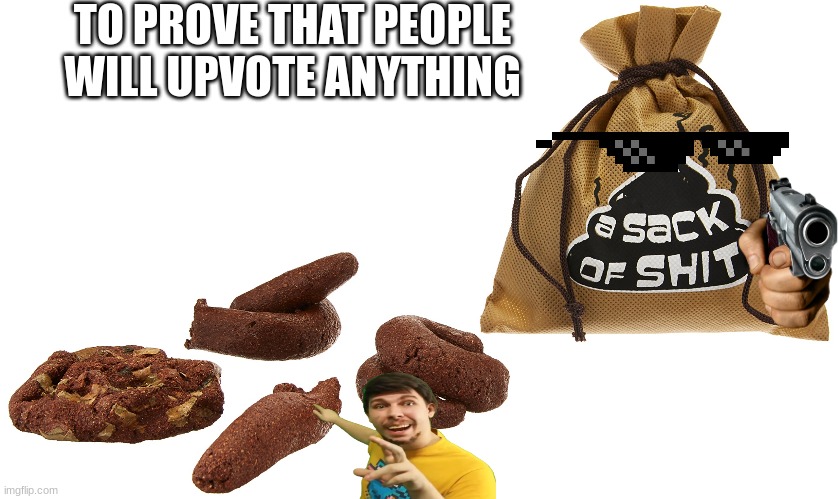 Sack Of Sh*t | TO PROVE THAT PEOPLE WILL UPVOTE ANYTHING | image tagged in fake mrbeast,memes | made w/ Imgflip meme maker
